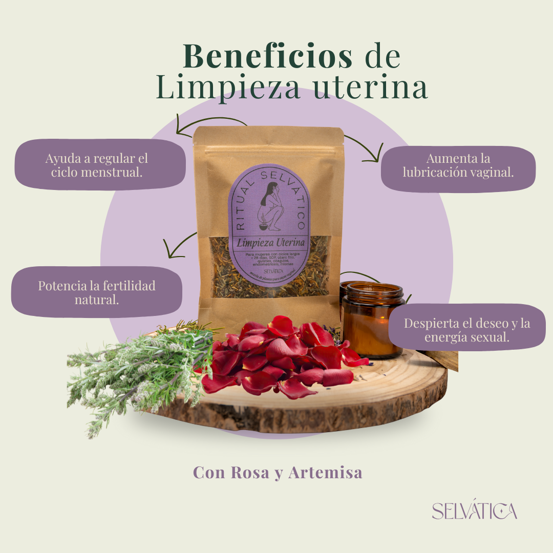 Ritual Selvatico - Limpieza uterina | SOP, quistes, reglas irregulares o > 28 días, amenorrea, busqueda de embarazo.